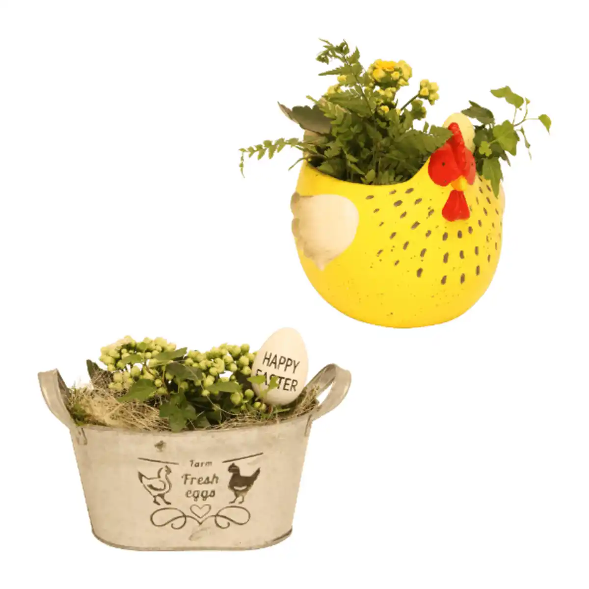 Bild 1 von GARDENLINE Bepflanztes Ostergefäß