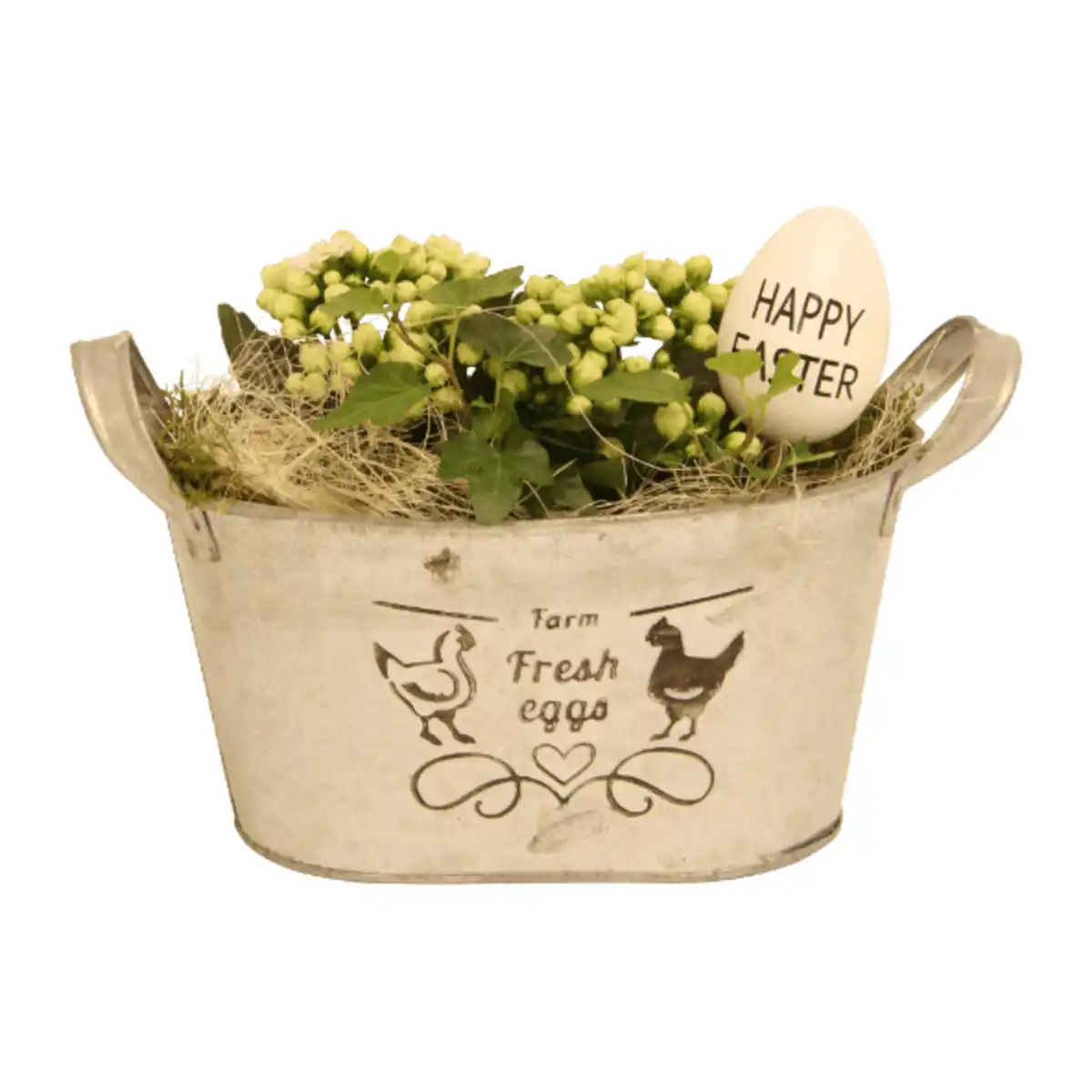 Bild 4 von GARDENLINE Bepflanztes Ostergefäß