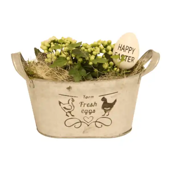 Bild 4 von GARDENLINE Bepflanztes Ostergefäß