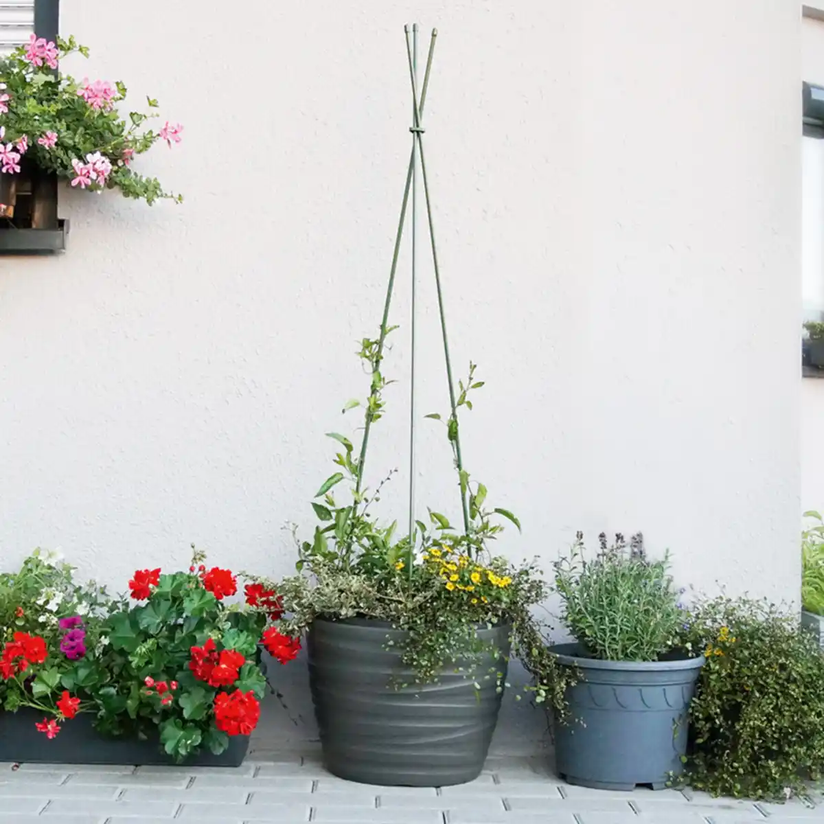 Bild 1 von Powertec Garden Dreibein-Pflanzenstützen 3er- oder 5er-Set