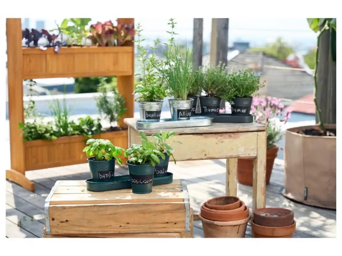 Bild 2 von PARKSIDE® Kräutertöpfe mit Untersetzer und Kreidetafel, aus Zink