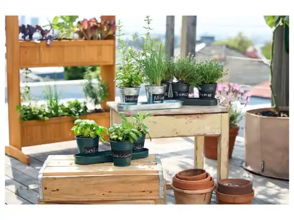 Bild 2 von PARKSIDE® Kräutertöpfe mit Untersetzer und Kreidetafel, aus Zink