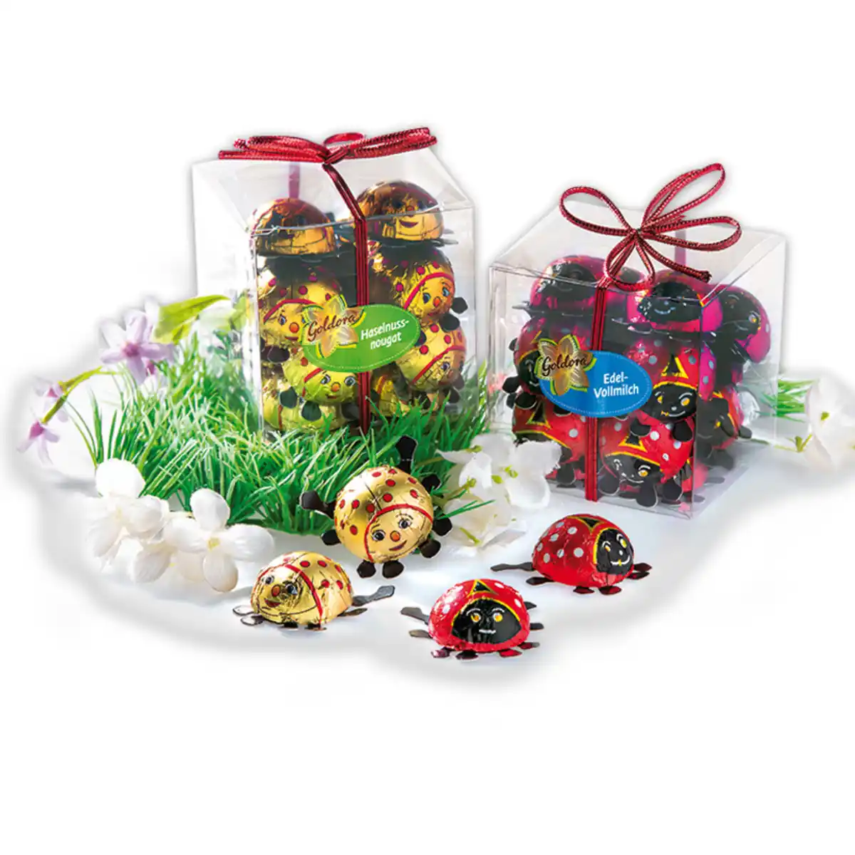 Bild 1 von Goldora Glückskäfer