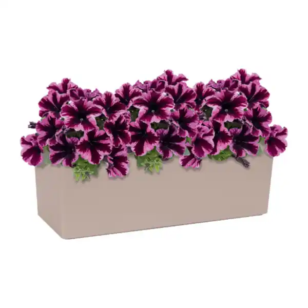 Bild 4 von BELAVI Balkonkasten