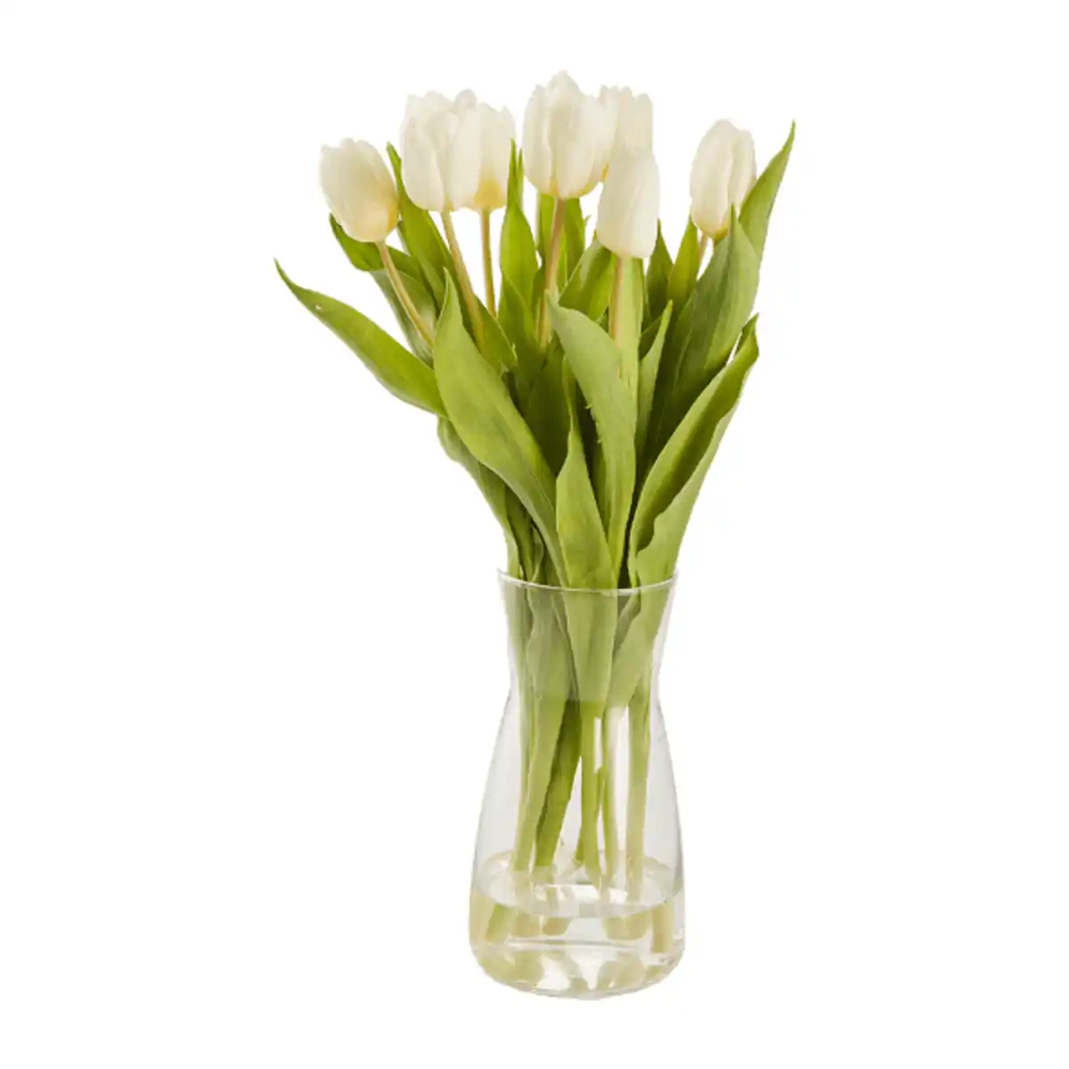 Bild 3 von GARDENLINE Tulpen