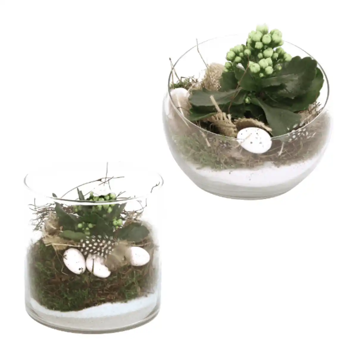 Bild 1 von GARDENLINE Bepflanztes Osterglas