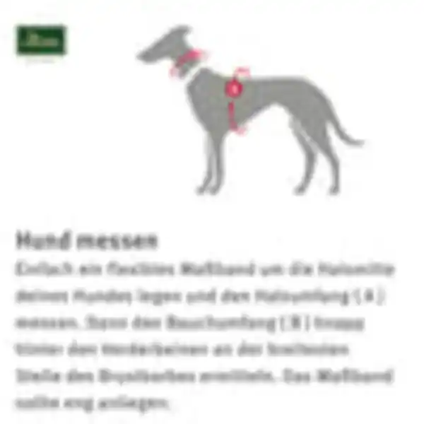 Bild 4 von Hunter Neopren Geschirr schwarz/grau 58-72/M/2