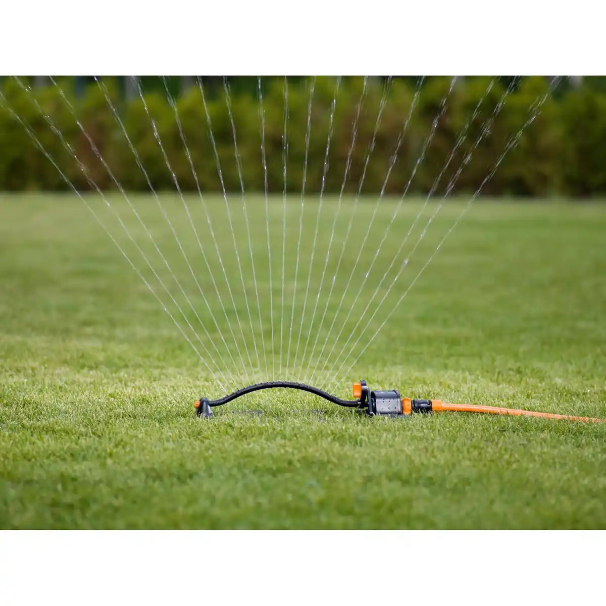 Bild 3 von Fiskars Oszillierender Sprinkler