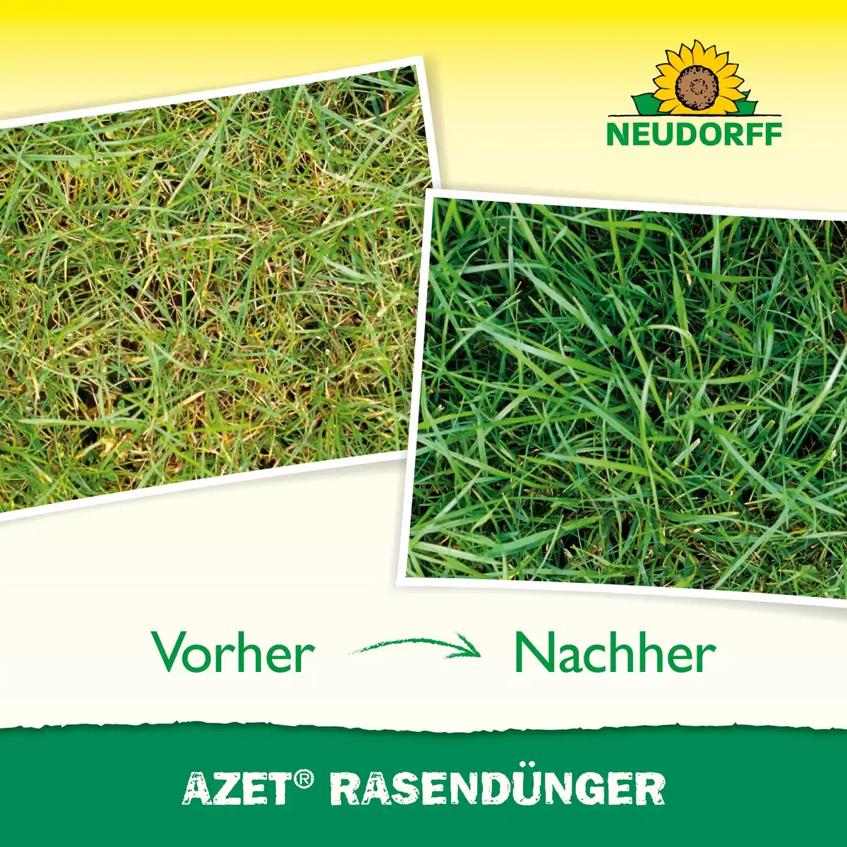 Bild 1 von Neudorff Azet Rasen-Dünger 10 kg