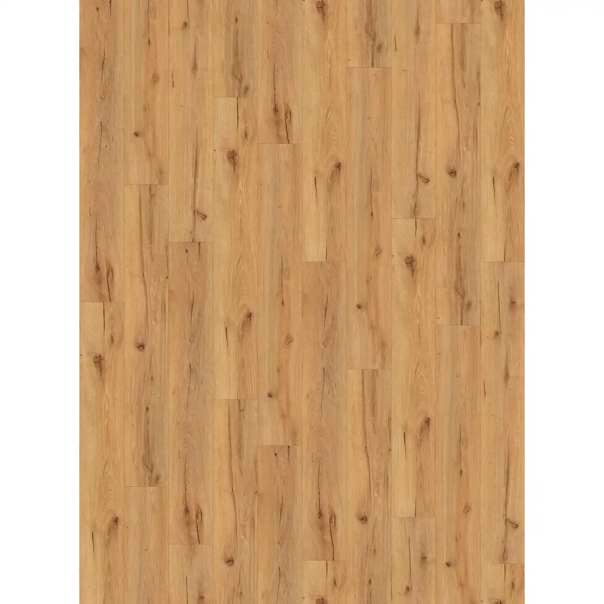 Bild 2 von Vinylboden Eiche Bologna Mittel 3,5 mm Klicksystem