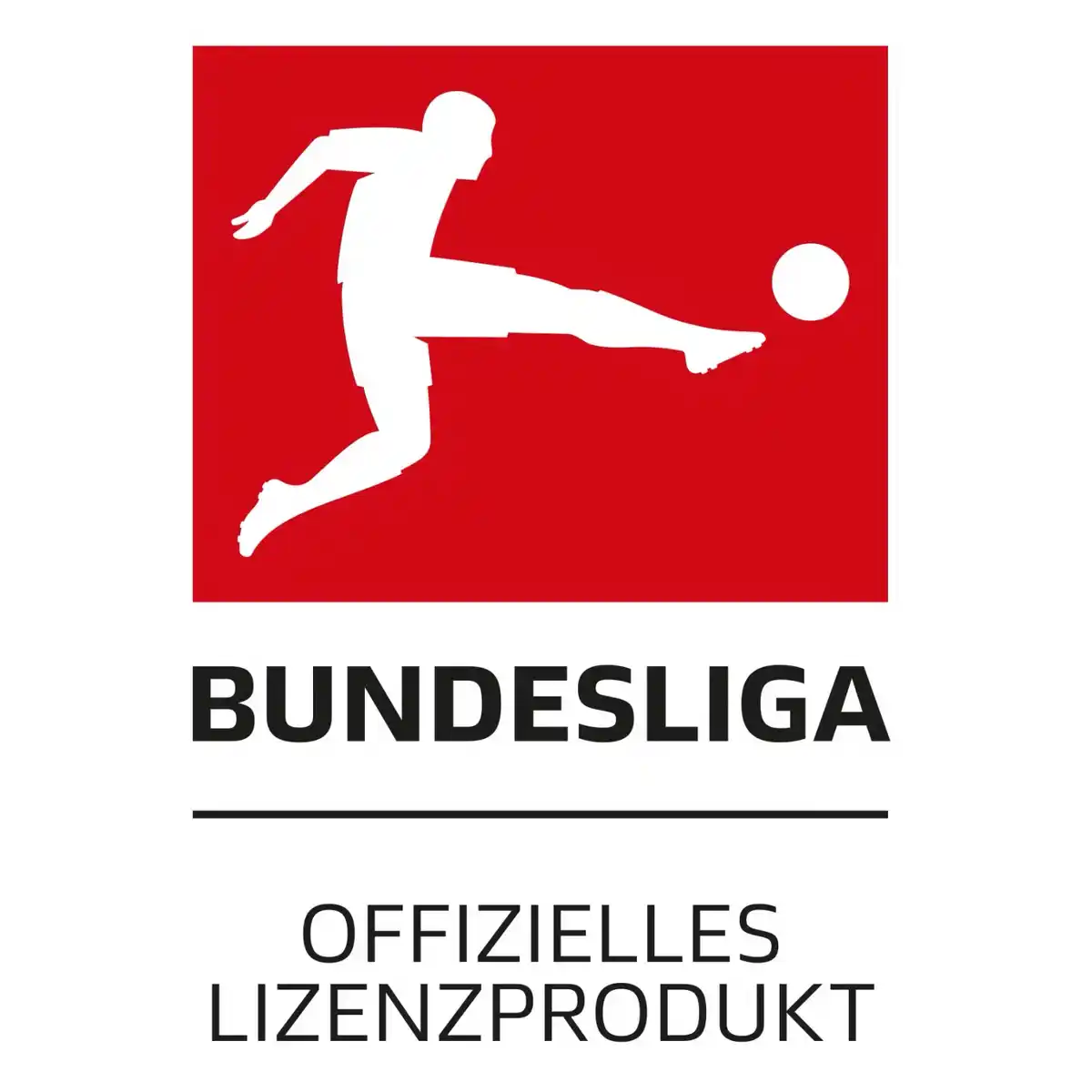 Bild 3 von Derbystar Fußball Bundesliga Player Special Größe 5