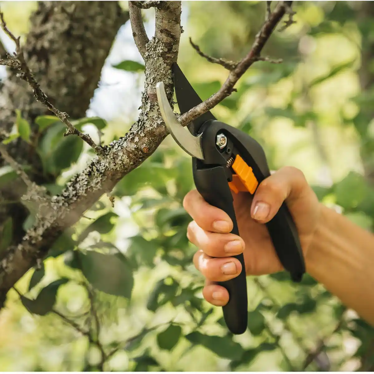 Bild 4 von Fiskars Bypass-Gartenschere SingleStep P26 20 cm