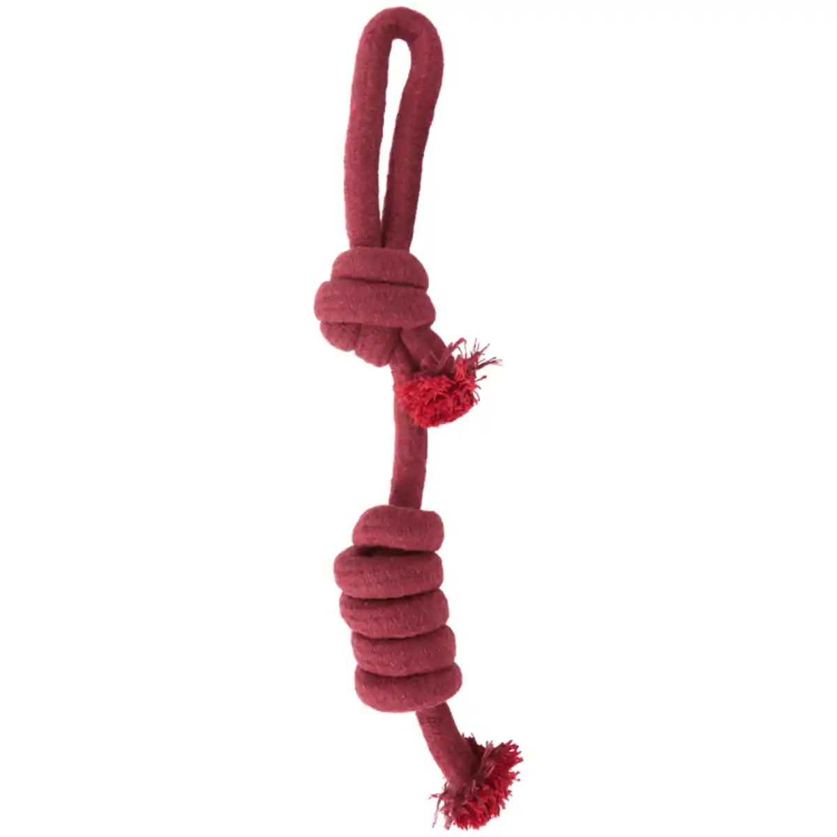 Bild 3 von Hundespielzeug