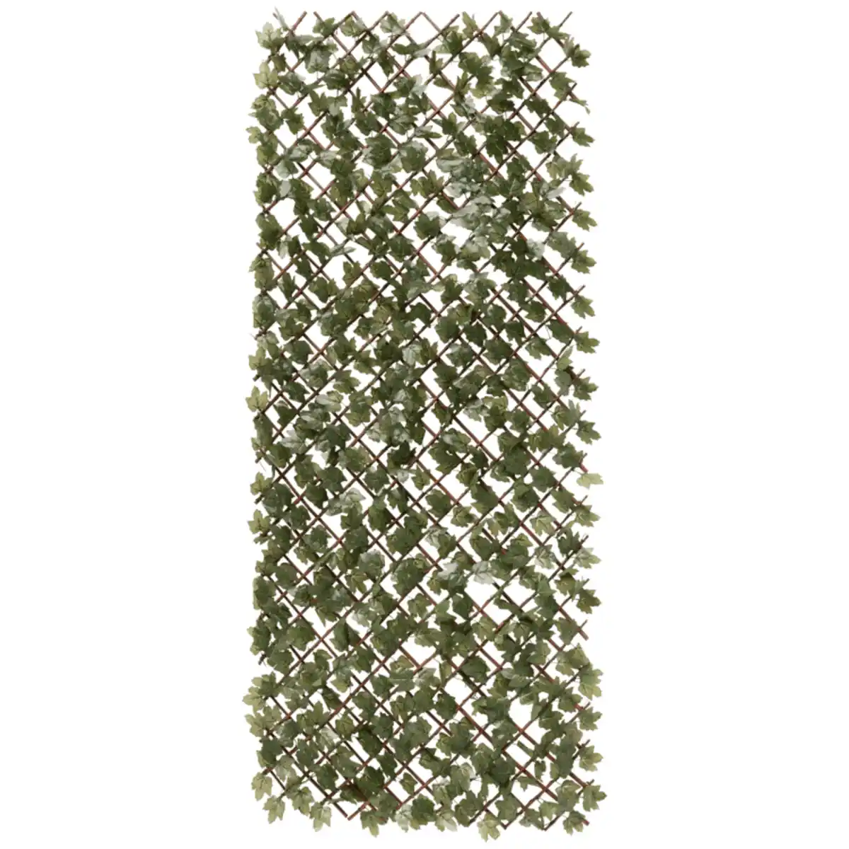 Bild 1 von Künstliche Efeuhecke