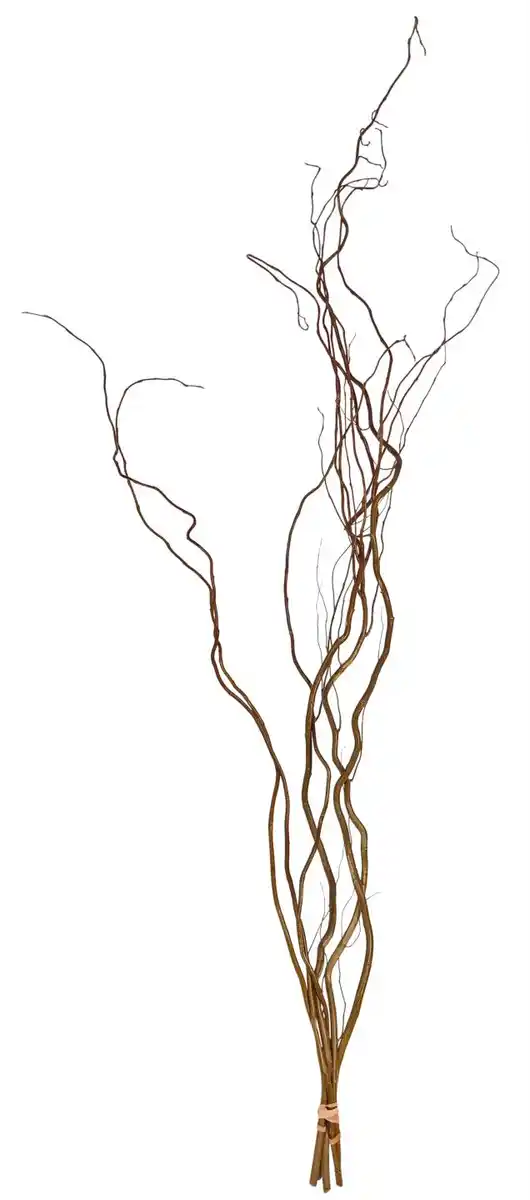 Bild 4 von Frühjahrszweige Handbunde