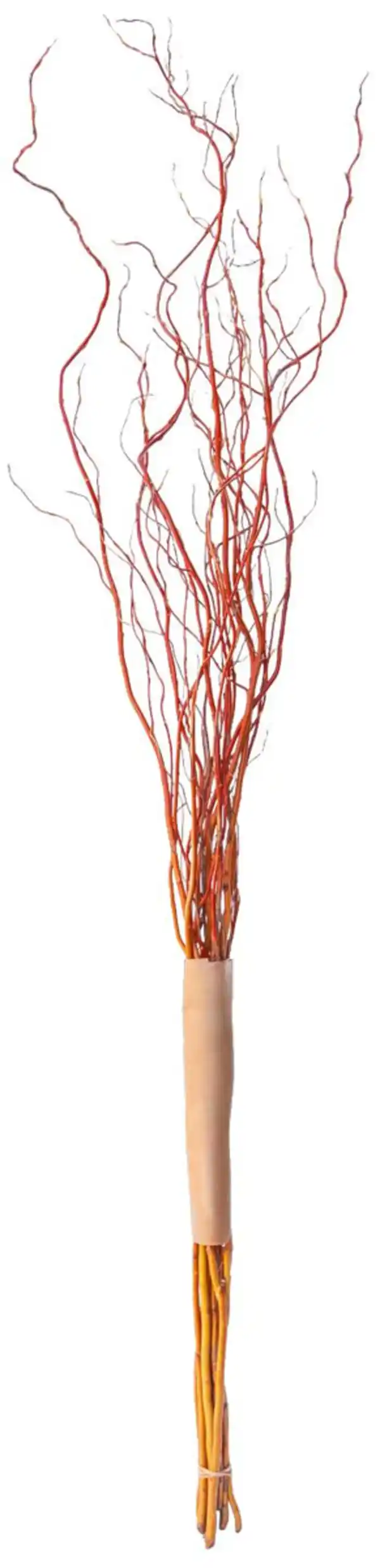 Bild 2 von Frühjahrszweige Handbunde