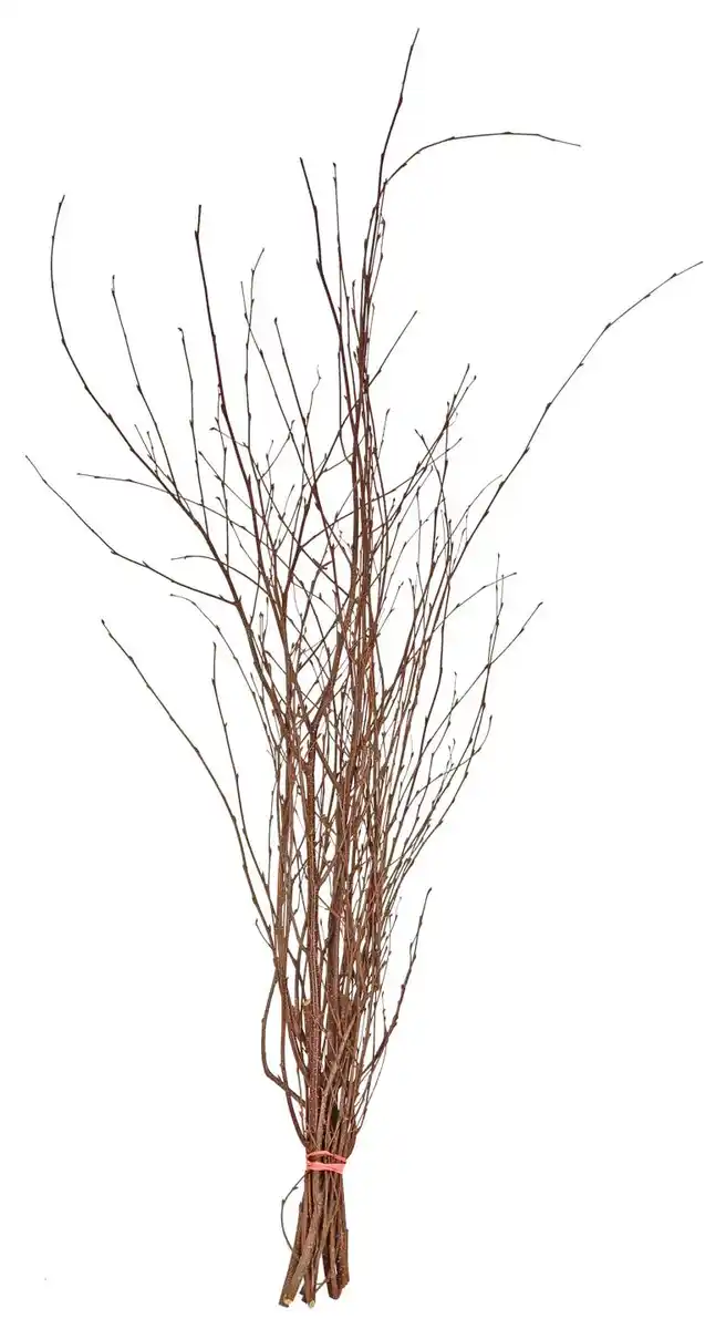 Bild 1 von Frühjahrszweige Handbunde