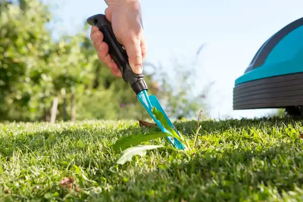 Bild 4 von GARDENA Unkrautstecher klein