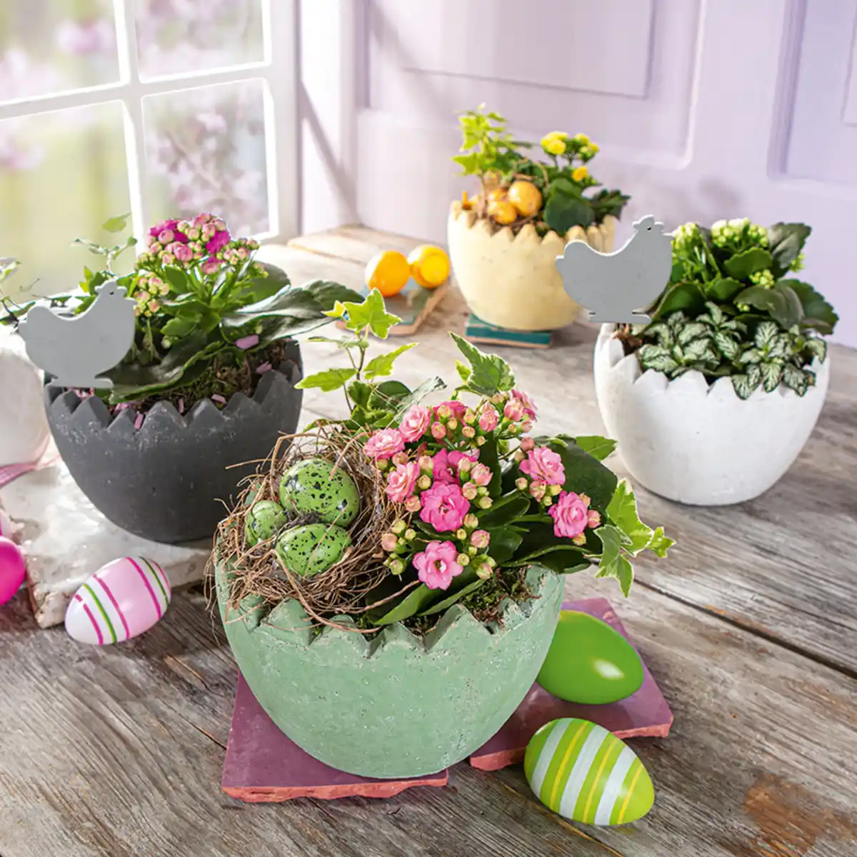 Bild 1 von Bepflanztes Osterei