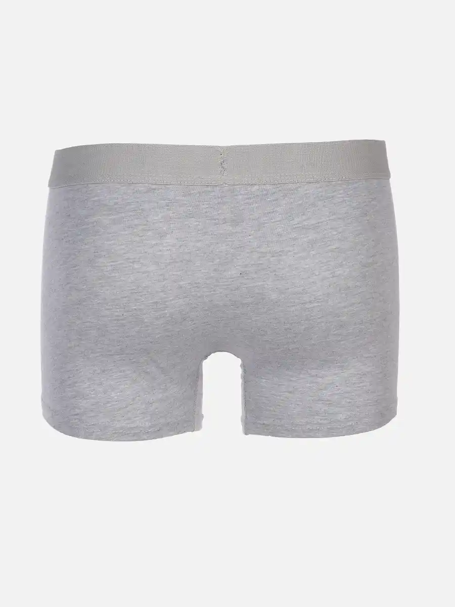 Bild 2 von Herren Bio Slips Grau