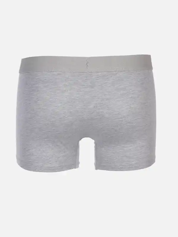 Bild 2 von Herren Bio Slips Grau