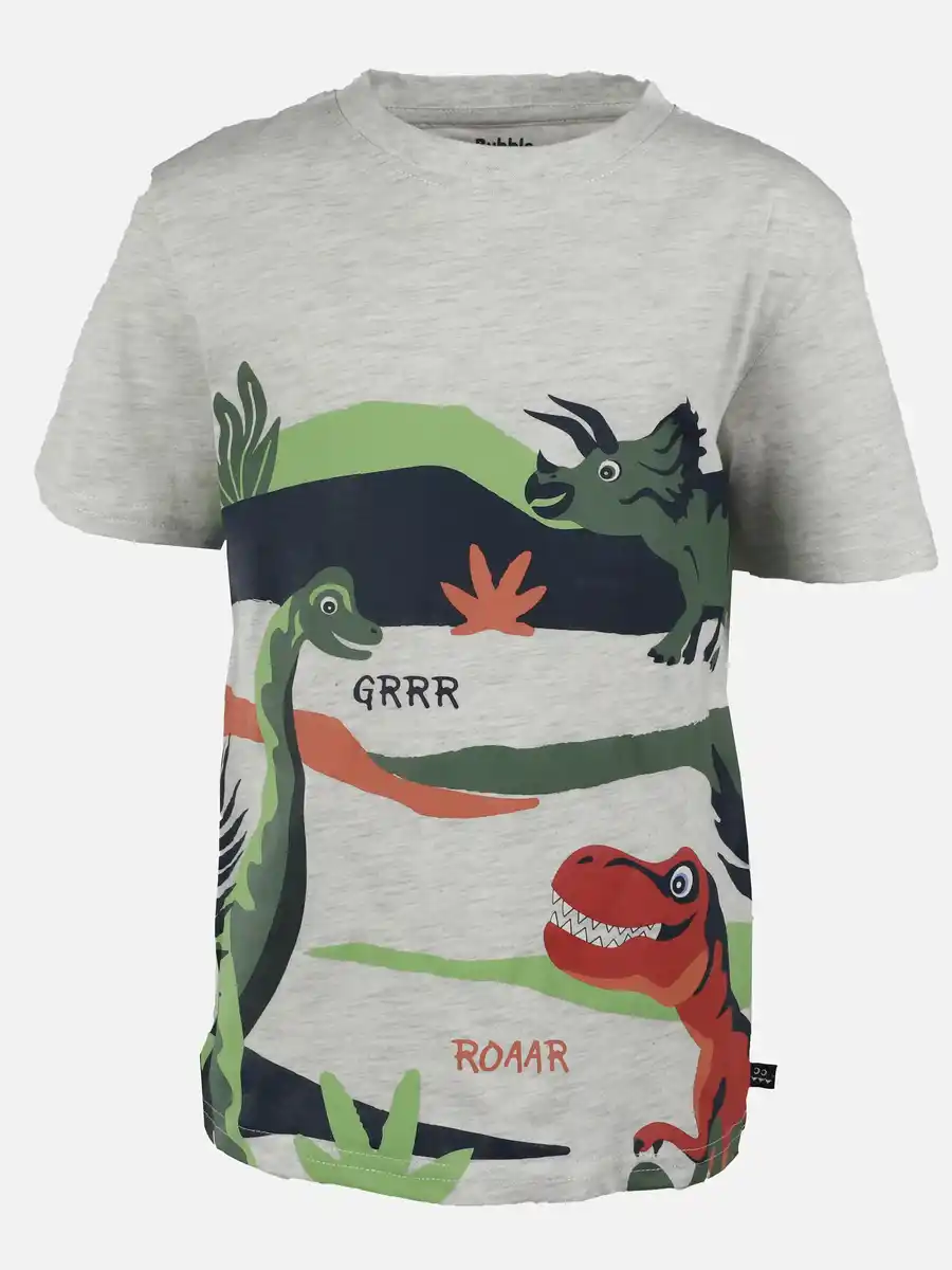 Bild 1 von Jungen T-Shirt mit Dinomotiv Grau