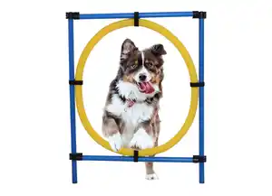 Hunde Agility-Trainingsset Das Agility-Trainingsset animiert Ihren Vierbeiner zu vielseitigen Sprungübungen und bietet zusätzlichen Spaß für die gemeinsame Draußenzeit.