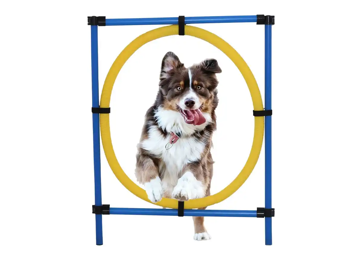 Bild 1 von Hunde Agility-Trainingsset Das Agility-Trainingsset animiert Ihren Vierbeiner zu vielseitigen Sprungübungen und bietet zusätzlichen Spaß für die gemeinsame Draußenzeit.
