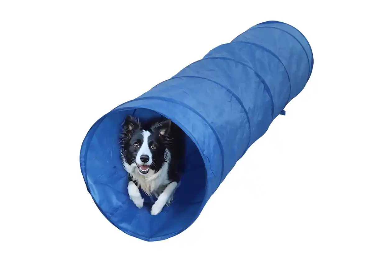 Bild 1 von Hunde Agility-Tunnel 200x50x50cm