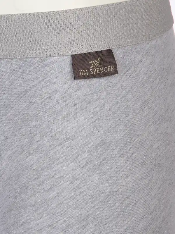 Bild 3 von Herren Bio Slips Grau