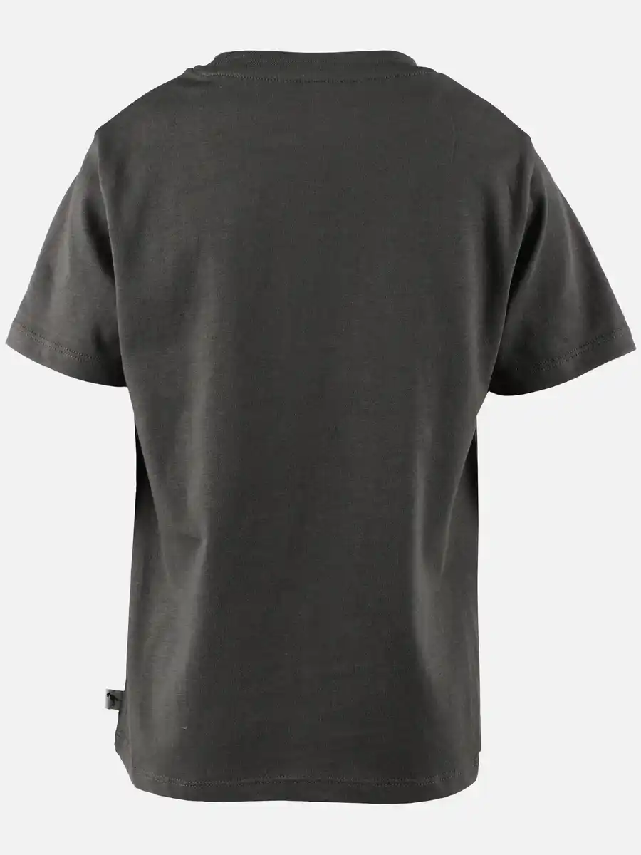 Bild 2 von Jungen T-Shirt mit phosphoreszierendem Dinomotiv Grau