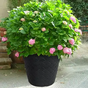 Blumentopf Matuba 59,5x58cm Anthrazit