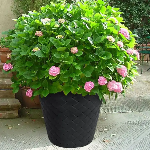 Bild 1 von Blumentopf Matuba 59,5x58cm Anthrazit