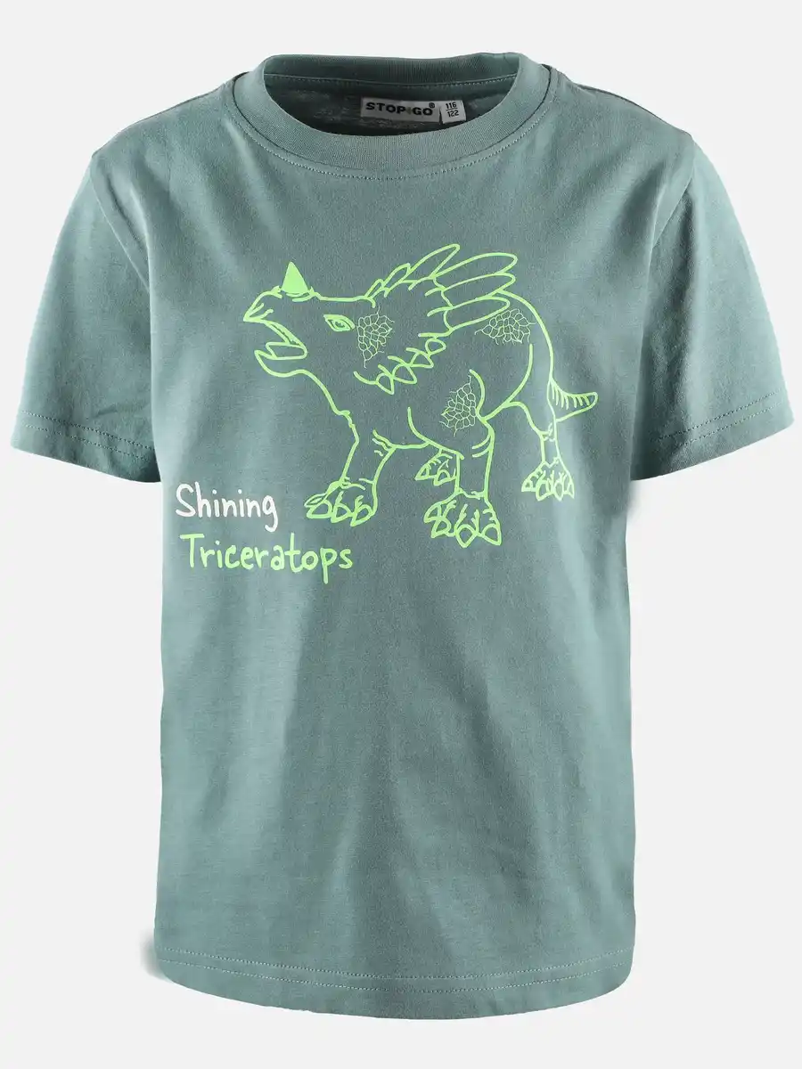 Bild 1 von Jungen Shirt mit Dino-Leuchtmotiv Grün