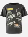 Bild 1 von Jungen T-Shirt mit phosphoreszierendem Dinomotiv Grau