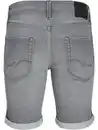 Bild 2 von Herren Shorts Grau