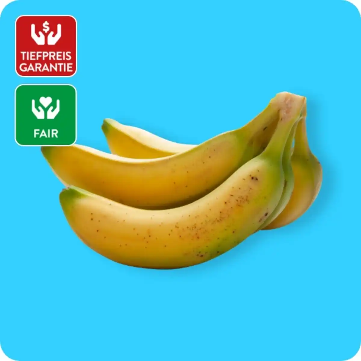 Bild 1 von   Rainforest Alliance Bananen, Ursprung: Ecuador / Costa Rica / Guatemala / Kolumbien