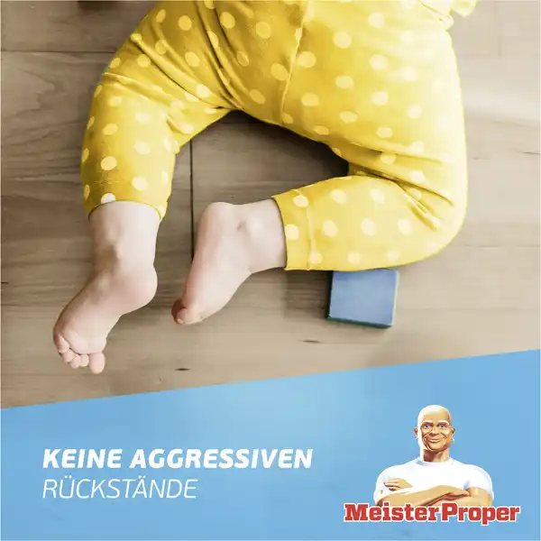 Bild 4 von Meister Proper Allzweckreiniger Frühlingserwachen, 1 L