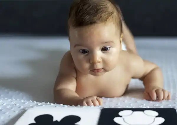 Bild 3 von IDEENWELT Kontrastkarten für Babys