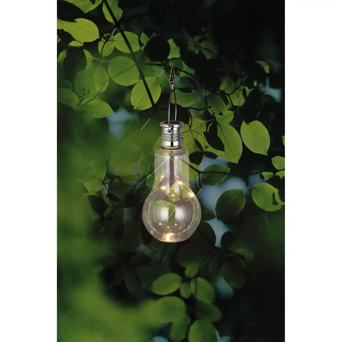 Bild 1 von toom Solar-Gartenleuchte transparent Ø 7,5 cm