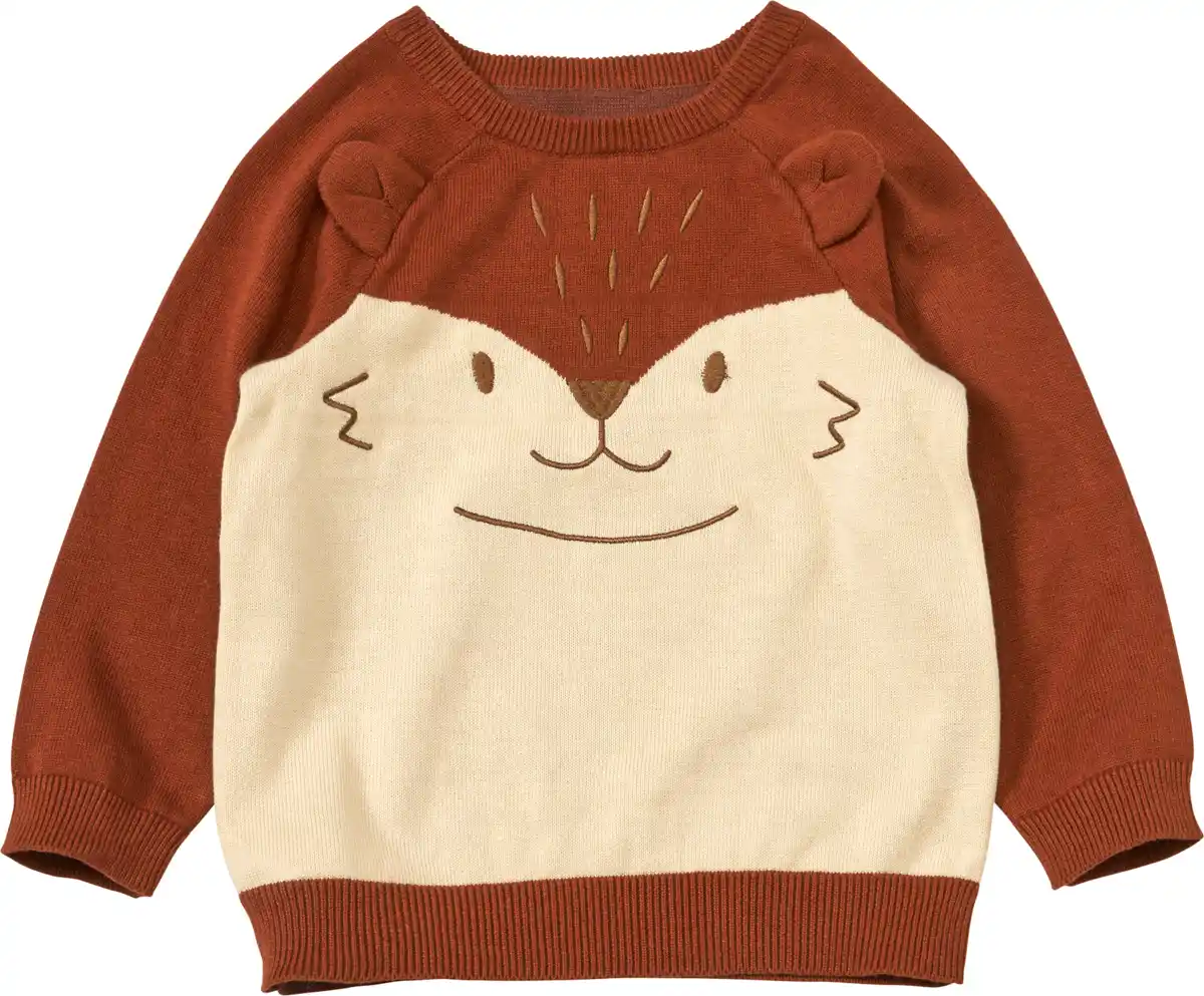 Bild 1 von ALANA Pullover aus Strick mit 3D-Fuchsohren-Applikation, braun, Gr. 104