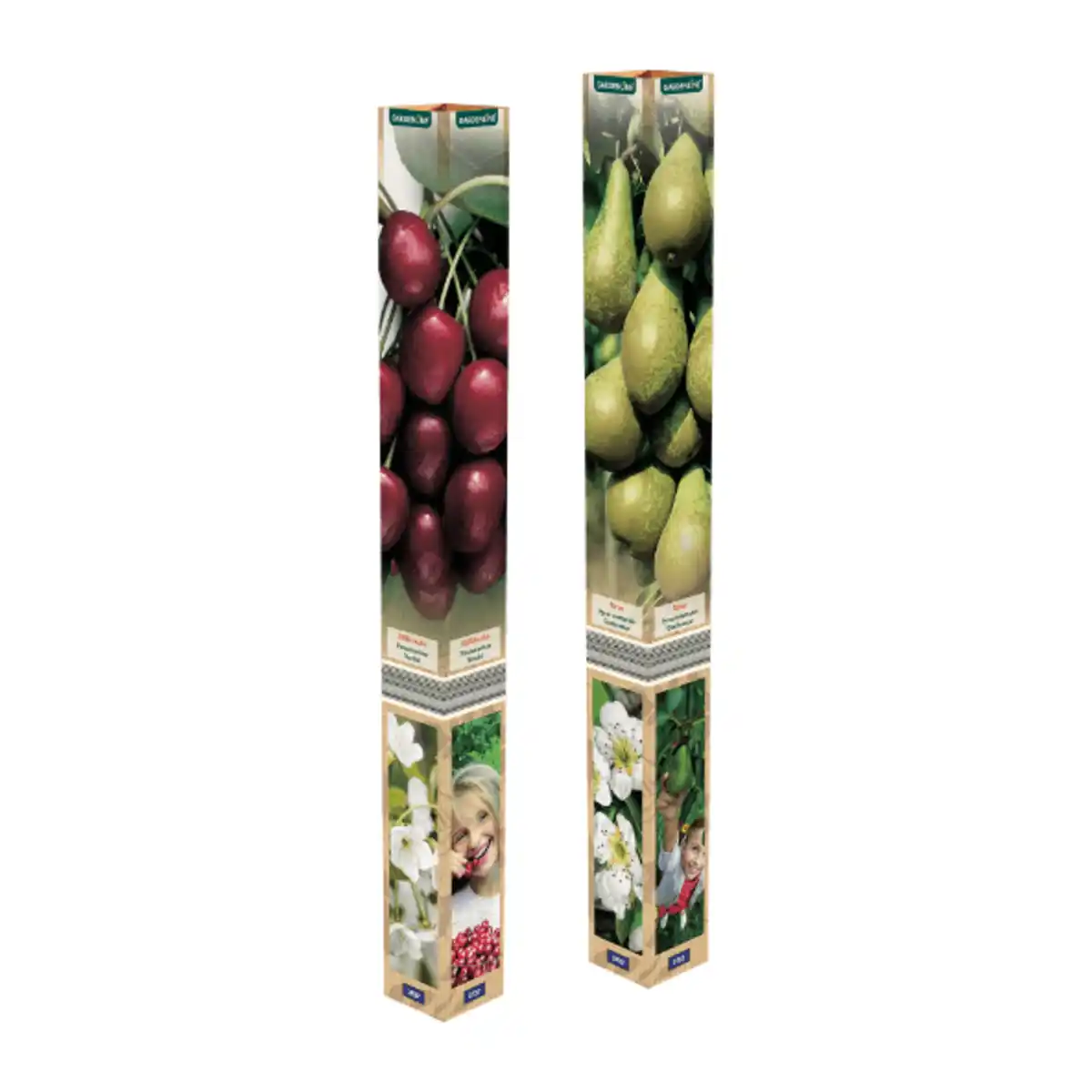 Bild 1 von GARDENLINE Obstbaum