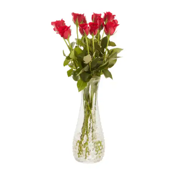 Bild 3 von GARDENLINE Rosen