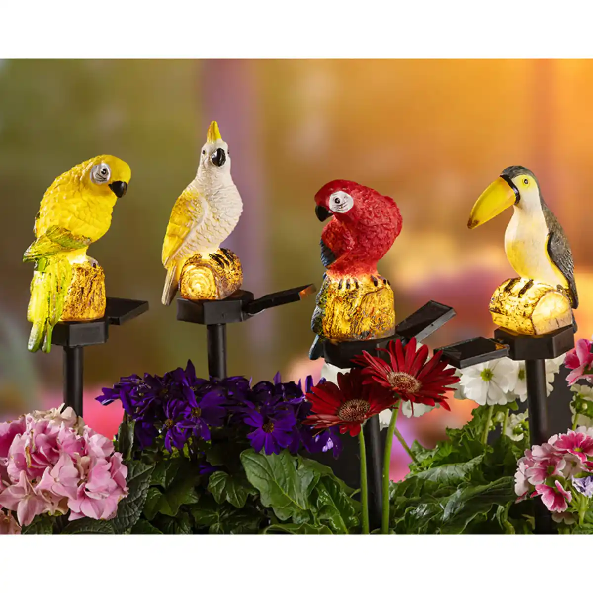 Bild 1 von I-Glow LED-Solar-Papagei