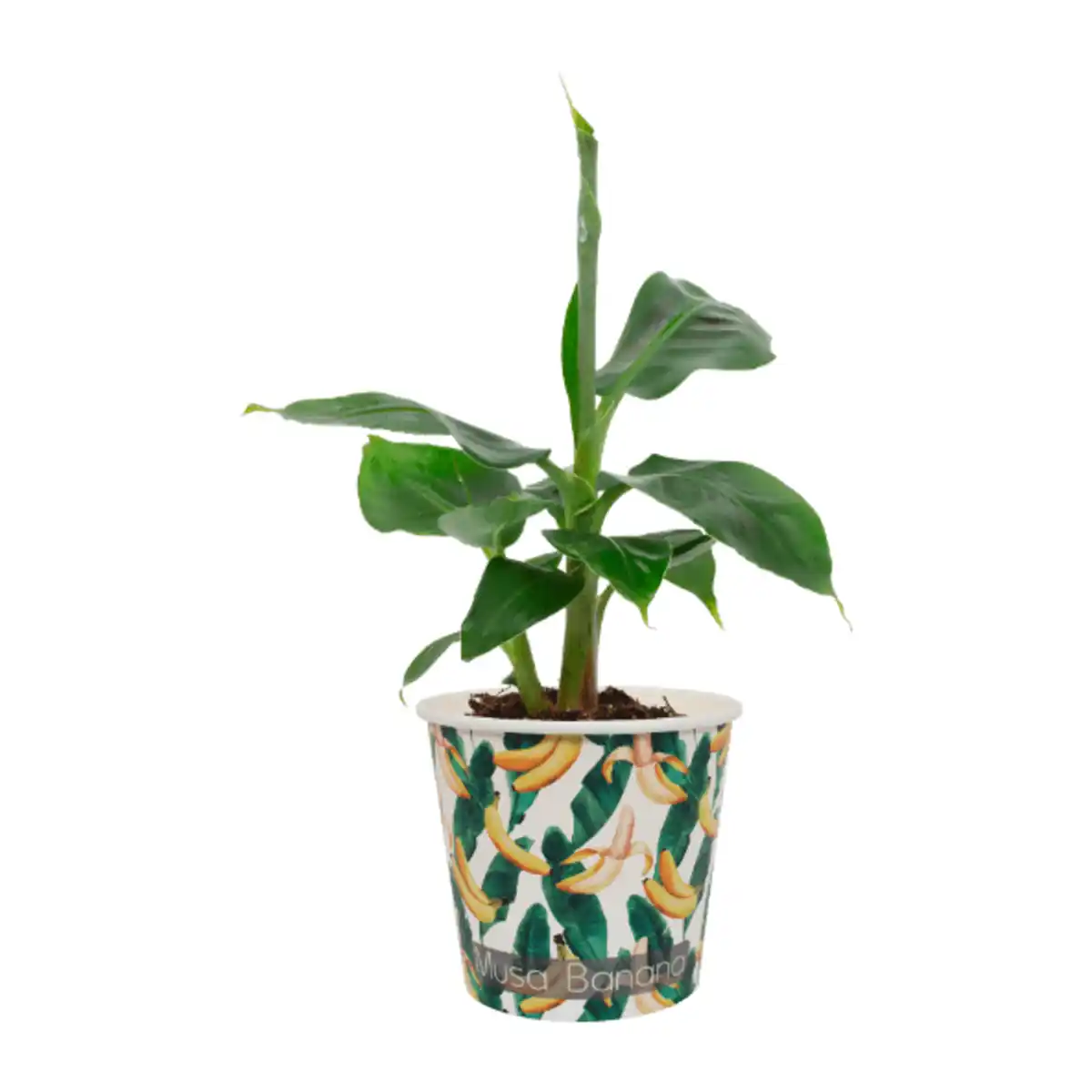 Bild 4 von GARDENLINE Obstmix im Becher