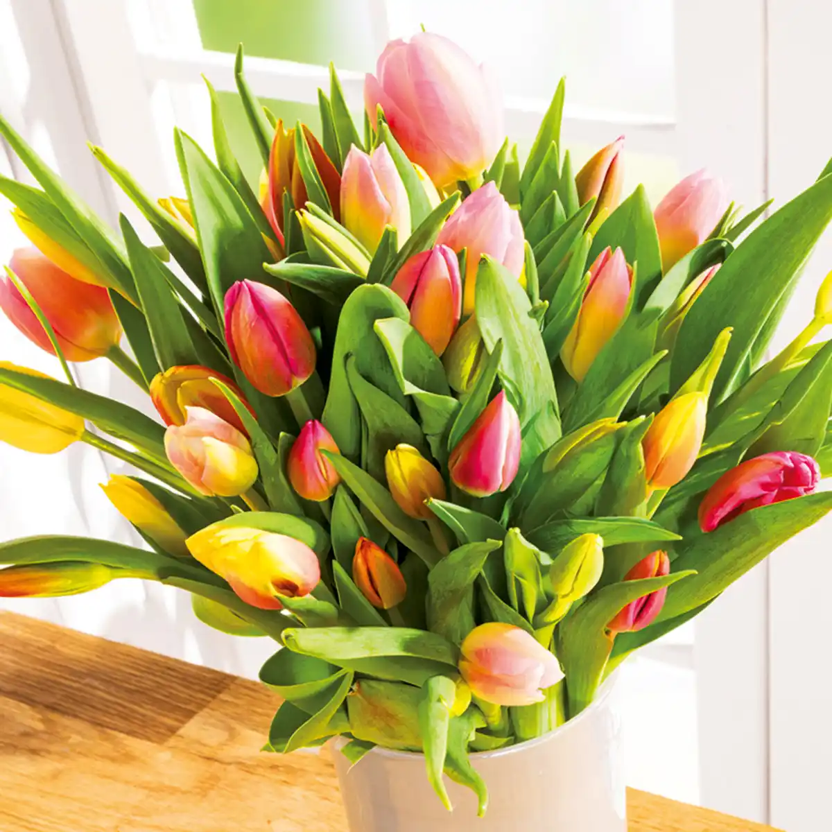 Bild 1 von Finest Garden Harlekin Tulpenstrauß