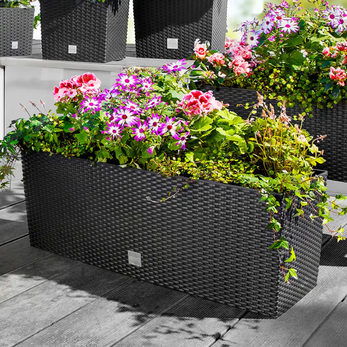 Bild 1 von Powertec Garden XXL Pflanzkasten 2in1 in Rattan-Optik