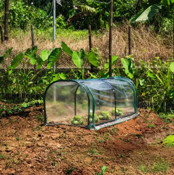 Bild 2 von GARDENLINE Gewächshaustunnel