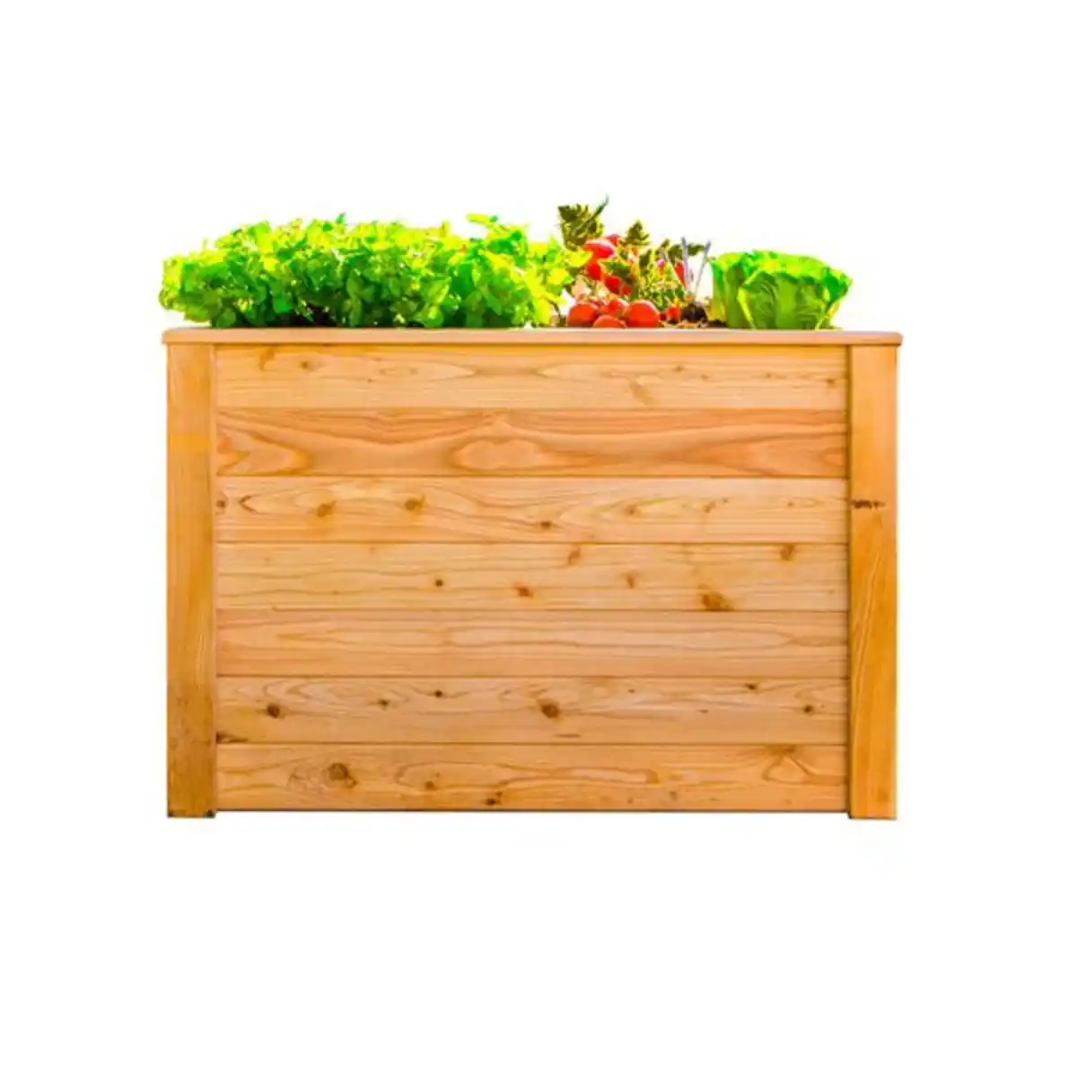 Bild 1 von Hochbeet Lärche S, 66 cm x 110 cm x 65 cm
