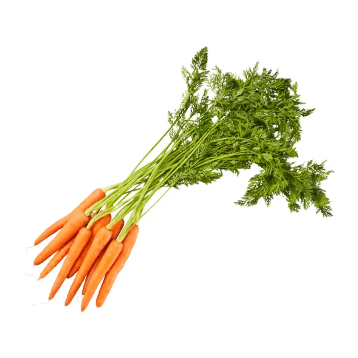 Bild 1 von Bundmöhren 750g